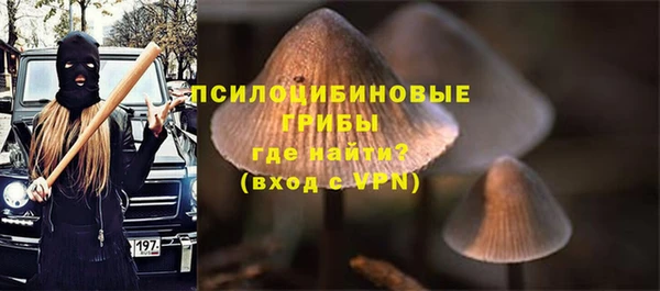 индика Балахна