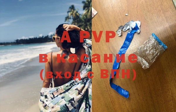 индика Балахна
