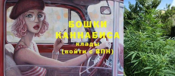 индика Балахна