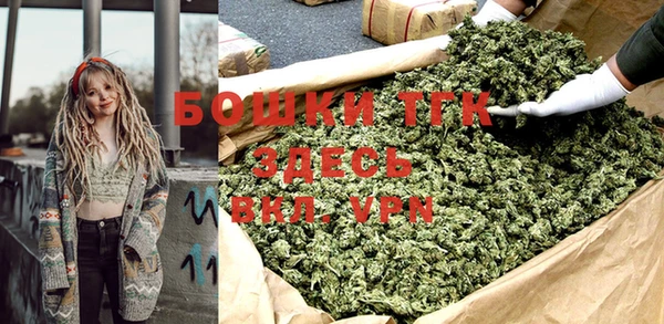 индика Балахна