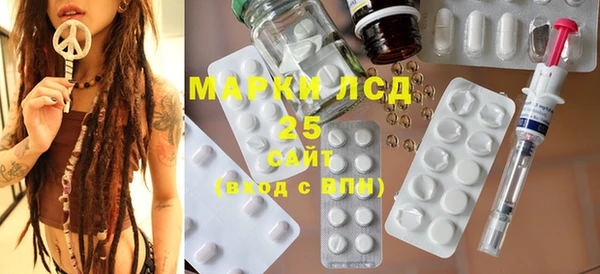 индика Балахна