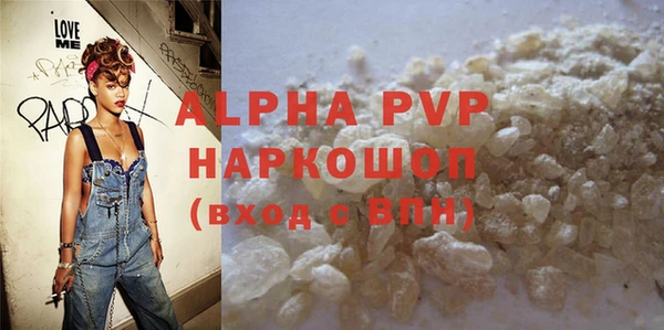 индика Балахна