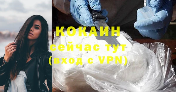 индика Балахна