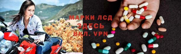 индика Балахна