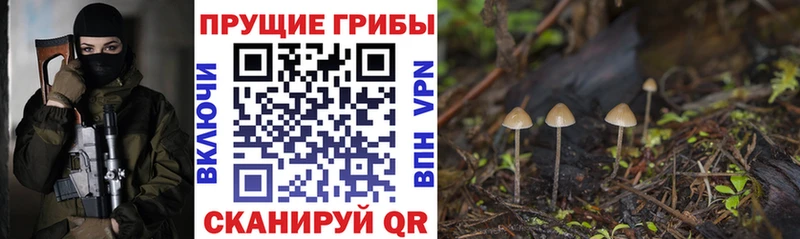 Галлюциногенные грибы Psilocybine cubensis  OMG маркетплейс  Сегежа  где купить наркотик 