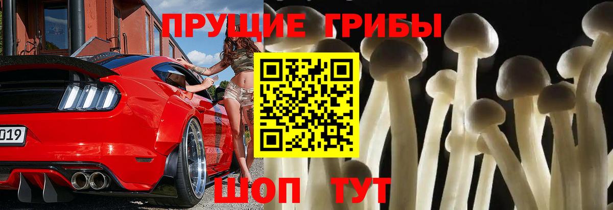 Псилоцибиновые грибы мухоморы  Галлюциногенные грибы Psilocybe  Вход с VPN  Сегежа 